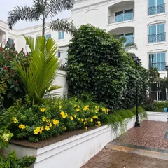 A rainy day site visit to one of our large apartment projects. The rain makes everything look fresh and alive, from the blooming yellow flowers to the tall palms and dense green hedges.