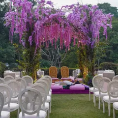 A ‘Lavender Dream’ mandap designed for an outdoor ceremony. The vibrant purple floral structure stands out beautifully against the green landscape, creating a romantic and unforgettable setting for the vows.