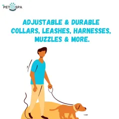 Safety and comfort are key for walks. We offer a selection of adjustable and durable collars, leashes, harnesses, and muzzles to make your outdoor time safe and enjoyable.