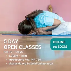 We offer our signature Open Class live online for those who prefer to practice from home. This image shows a student in Matsyasana (Fish Pose), a posture that is part of our standard sequence.