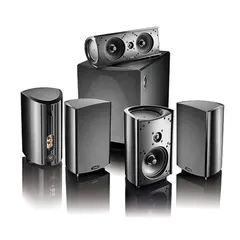 This is the Definitive Technology ProCinema 1000 system, a full 5.1 speaker package. It's a great example of getting huge sound from a compact system, featuring four satellite speakers, a center channel, and a subwoofer.