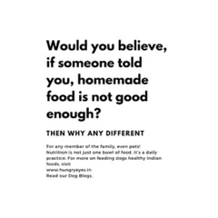 Would you believe someone if they told you homemade food isn't good enough for a family member? We believe the same applies to our pets. Nutrition is a daily practice, not just one bowl of food.