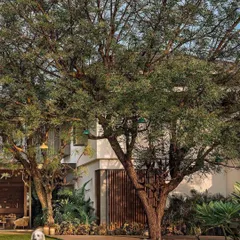 The exterior of the Abhikram home in Ahmedabad is designed to blend with its natural surroundings, with mature trees providing shade and a sense of establishment.