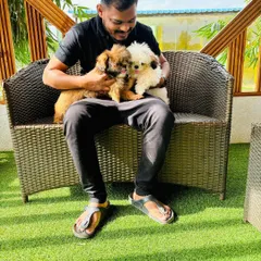 Cuddle time with two adorable puppies, Coffee and Shizuka. Our staff loves spending quality time with our little guests, making them feel loved and secure.