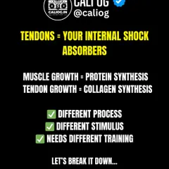 Tendons are your internal shock absorbers. Their growth relies on collagen synthesis, which requires a different training stimulus than muscle growth. Let's break down the science.
