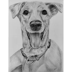 It's not just people I love to draw. This custom pet portrait captures the joyful and energetic personality of a beloved dog, from the happy tongue-out expression to the fine details of its fur.