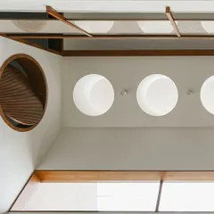 A view looking up at a series of circular skylights. These openings act like sun cannons, casting dramatic circles of light that travel across the walls and floors throughout the day, animating the interior space.