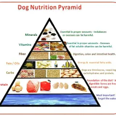 I believe a healthy pet starts with the right diet. This dog nutrition pyramid shows the ideal balance of protein, fats, vitamins, and minerals that I look for in the food products I stock, ensuring your dog gets everything it needs.