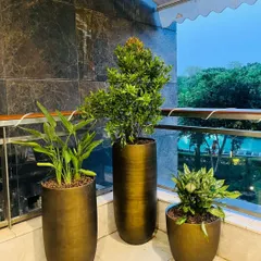 We used a set of matching metallic planters in varying heights to add dimension and a touch of modern sophistication to this balcony corner. The selection of hardy green plants ensures a lush look with minimal maintenance.