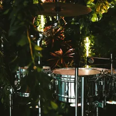 Details matter in creating an immersive theme. Even the drum kit for the live band was nestled within tropical foliage, ensuring every corner of the "Jungle Disco" felt authentic and thoughtfully designed.