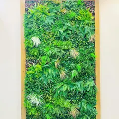 A framed vertical garden acts as a living piece of art. The wooden frame provides a clean, finished border, turning the dense green foliage into a beautiful focal point for any room.