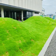 Another view of the sculpted lawn, showing how it follows the contours of the property. This type of turf installation requires precision and expertise to achieve a seamless, flowing look that complements the architecture.