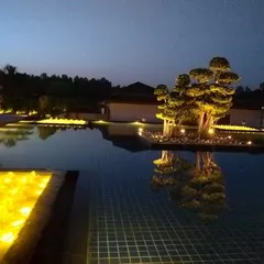 A stunning night view of a large, reflective pool with an island featuring an illuminated bonsai-style tree. The warm, golden lights within the pool create a magical and luxurious ambiance, showcasing our expertise in water and light integration.
