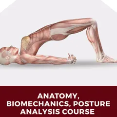 The February Anatomy course is a 15-hour deep dive into the science of movement. It is a prerequisite for my Mat and Reformer courses and is open to all fitness enthusiasts.