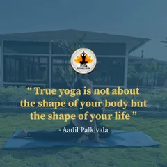 "True yoga is not about the shape of your body but the shape of your life." This quote by Aadil Palkivala is a guiding principle in my teaching. I focus on how the practice transforms you from the inside out.