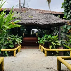 The entrance to one of our dining areas, featuring a thatched roof and surrounded by vibrant green plants. This is the kind of tropical architecture you'll find throughout the resort.