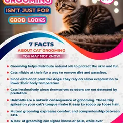 Did you know grooming is essential for a cat's health? This graphic shares some key facts about why regular grooming helps with everything from skin health to temperature regulation.