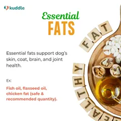 Healthy fats are vital for your dog's skin, coat, brain, and joint health. I recommend incorporating sources like fish oil, flaxseed oil, and chicken fat in safe, recommended quantities.