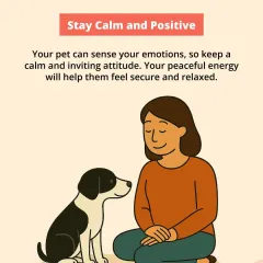Your pet can sense your emotions. When introducing them to a newborn, it's important to stay calm and positive to help your pet feel secure and relaxed.