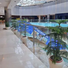 An installation of Araucaria plants, also known as Norfolk Island Pines, in a shopping mall. Their unique, symmetrical shape adds a touch of formal elegance to the bright and open space.