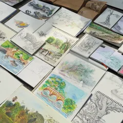 After feeling lost in digital work, I returned to my sketchbooks. This is a glimpse into years of practice, a physical record of my journey back to the basics of drawing. Each book is filled with observations, ideas, and the simple joy of a pen on paper.