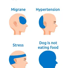 There are many types of headaches, but nothing compares to the full-body stress a pet parent feels when their dog is not eating their food. It's a universal pain.
