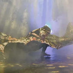 The raw energy of the Kalbelia dance, captured in a single, powerful motion. The flowing costume and dramatic lighting highlight the wild spirit of this ancient folk art.