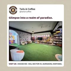 A glimpse into our realm of paradise. This wide shot shows our spacious indoor play area with its green turf, comfy seating for humans, and shelves stocked with toys and supplies.