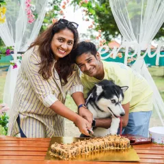 Cake cutting time at our June Barkday Bash! A beautiful husky gets ready to enjoy a slice of our special dog-friendly cake, surrounded by his loving parents.