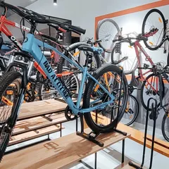 For this retail store, I designed multi-level wooden platforms to create a dynamic bicycle display. This approach allows customers to view multiple models easily and adds visual interest to the shop floor.
