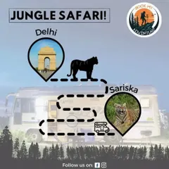 Our Jungle Safari package from Delhi to Sariska is a popular choice for a weekend adventure. We take care of the route so you can focus on spotting wildlife.