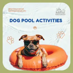 Garmi mein full masti! Our supervised dog pool is a favorite spot for pups to cool down, exercise, and have a splashing good time. We ensure it's a safe and fun experience for every dog, from first-timers to seasoned swimmers.