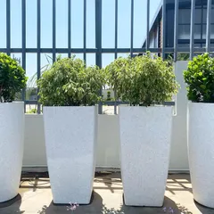 These large, stone-finish planters are ideal for modern outdoor spaces like terraces and balconies. This image shows how the combination of round and square pots with lush greenery creates a clean, sophisticated look.