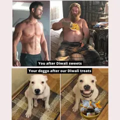 A little Diwali humor for you. While the festival sweets might get you, our healthy Diwali Pawsket will only make your doggo healthier and happier. All our treats are human-grade, just in case you get tempted.