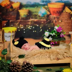 A full view of our honeybee theme, set in the Hundred Acre Wood. The newborn sleeps in a cozy bed surrounded by sunflowers, honey pots, and friendly animal toys.