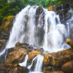 Another angle of Shirley Falls, showcasing its beauty. This is a classic representation of the waterfalls found in the Western Ghats.