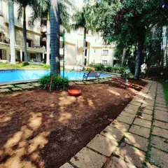 Here is the same poolside area before I started. It shows how even a completely bare patch of ground can be transformed into a lush garden.