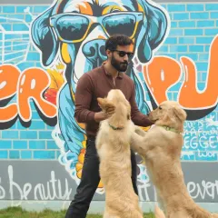 Happy dogs and smiling parents, that's our goal. We love capturing these moments against our vibrant graffiti wall, a favorite photo spot for visitors.