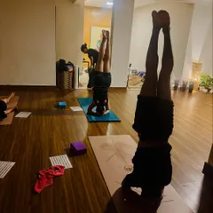 A view of the shala during inversion practice. Students hold Sirsasana, creating a collective energy of focus and stillness. This posture is powerful for calming the mind.