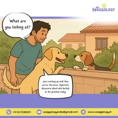 A funny take on what our dogs might be "discussing" over the fence. Social interactions are an important part of a dog's life, and it's a good reminder that they need mental and social stimulation to stay happy.