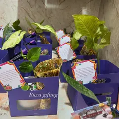 A closer look at the budget-friendly lavender planter hampers, a great option for wedding favors or corporate giveaways.