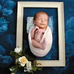 A newborn baby is swaddled in white and posed inside a picture frame against a floral blue backdrop, creating a beautiful "living art" portrait.