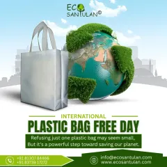 Refusing just one plastic bag may seem small, but it's a powerful step. On International Plastic Bag Free Day and every day, I encourage everyone to choose reusable bags to save our planet.