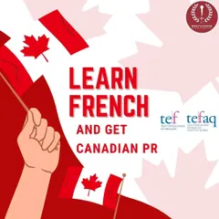Thinking about moving to Canada? We have specialized batches to help you prepare for the French TEF exam. French proficiency can significantly boost your CRS score and open up new immigration pathways.