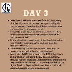 An outline of the topics covered on Day 3 of my PSA Seminar. This includes advanced exercises for PSA2 and PSA3, such as directional jumps, multiple call-offs, and preparing for surprise scenarios.