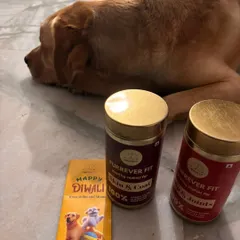 This is Jarvis, one of my very first customers, with his Diwali goodies. Getting messages like this from pet parents reinforces why I started this journey to begin with.