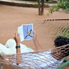 Unwind in a hammock with your favorite book. Our quiet corners are designed for you to disconnect from the hustle and reconnect with yourself.