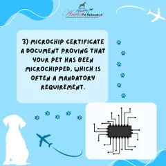 A microchip certificate is often a mandatory requirement. This document proves that your pet has been microchipped with an ISO-compliant chip, which is essential for identification and tracking.