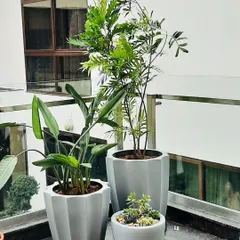 A beautiful cluster of pots on a balcony. I often group planters of different sizes but similar styles to create a cohesive and visually interesting plant arrangement.