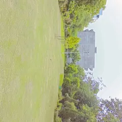A wide view of a freshly maintained lawn in a park setting. Our lawn care services ensure large green spaces remain beautiful and usable for everyone.